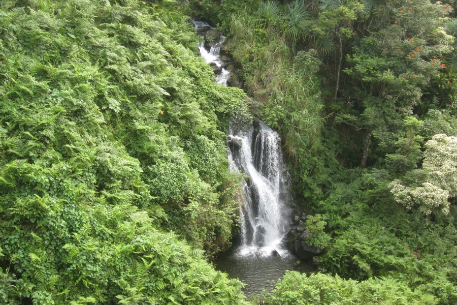 ../image/waterfall near hilo.jpg